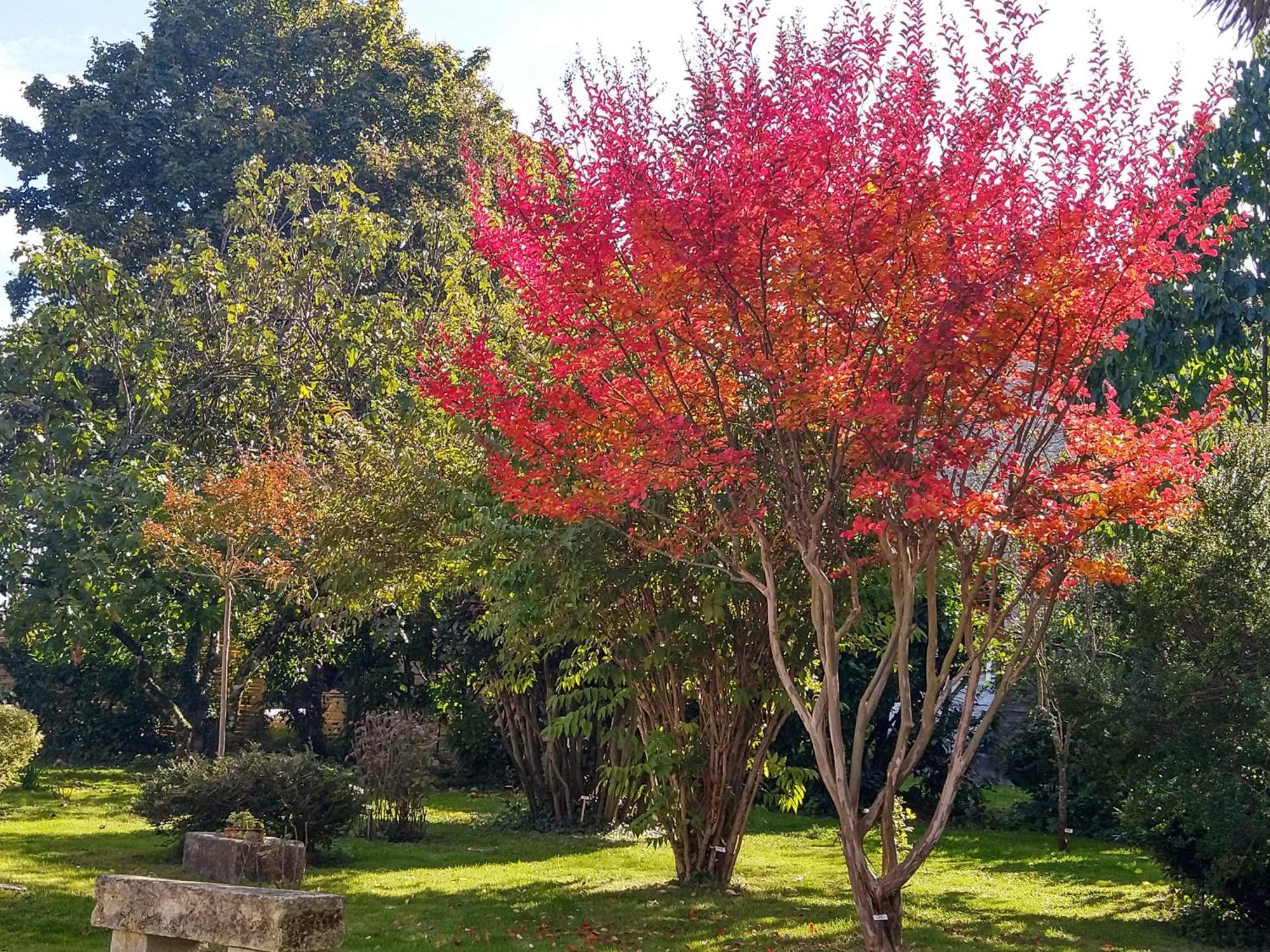 La Demeure D'Ezilda Villa Fléac-sur-Seugne Buitenkant foto