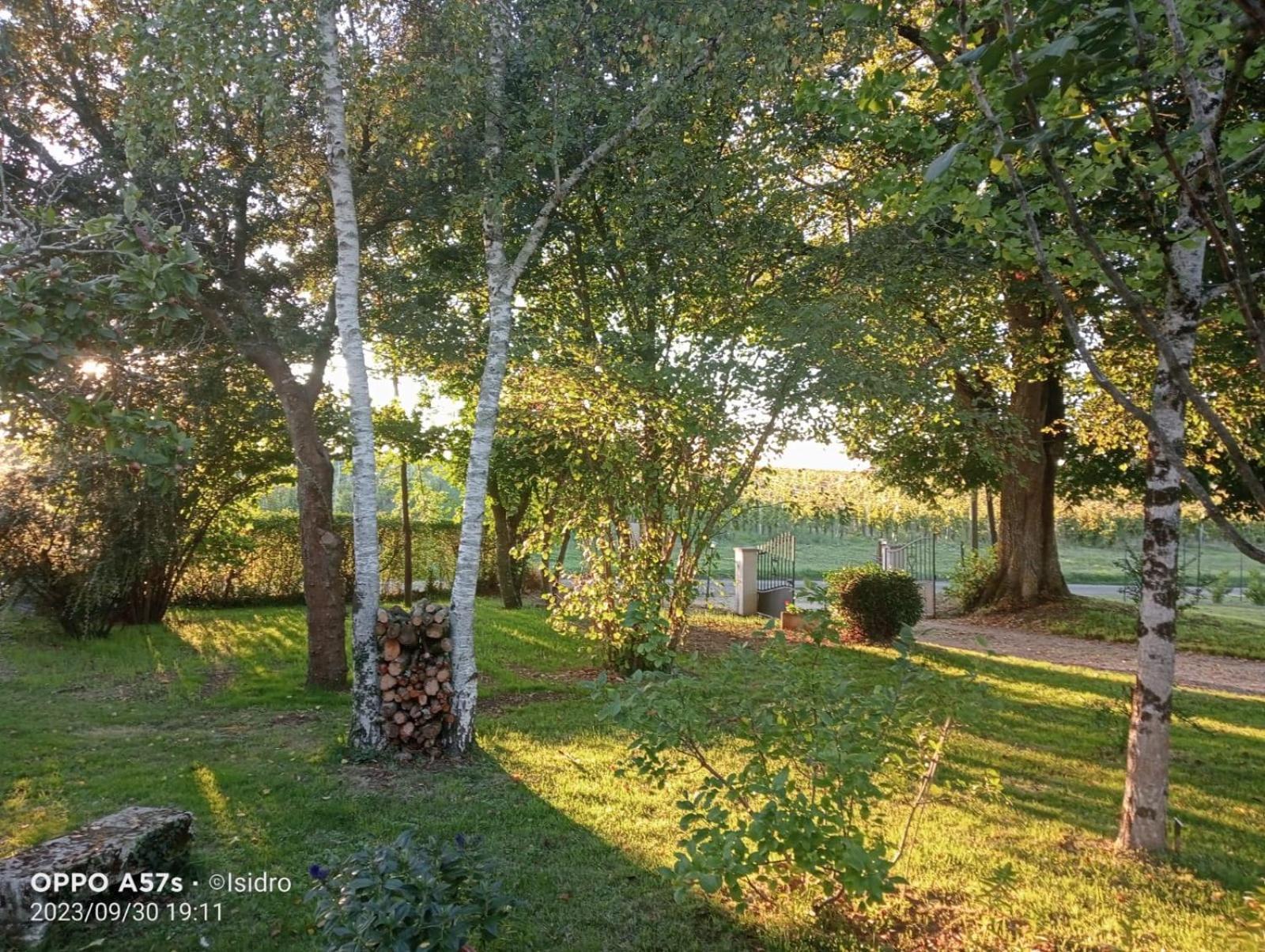 La Demeure D'Ezilda Villa Fléac-sur-Seugne Buitenkant foto
